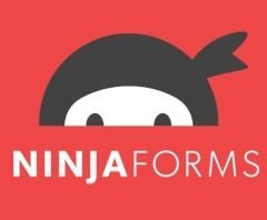 Ninja Forms User Management